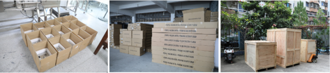 Clasificadora de pesaje automática de la industria alimentaria del control del transportador de alta precisión del pesador