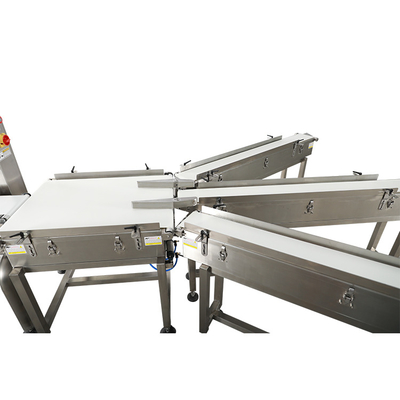 Digital Auto Check Weigher Machine/Weighing Scale For Sale