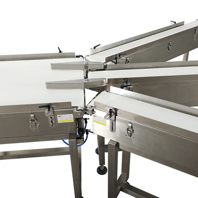 High Speed Large Capacity Conveyor Belt Weighing Sorting Machine
